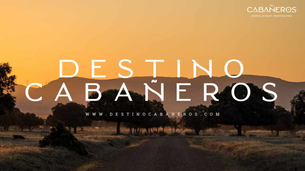 Presentación Portal Web Destino Cabañeros